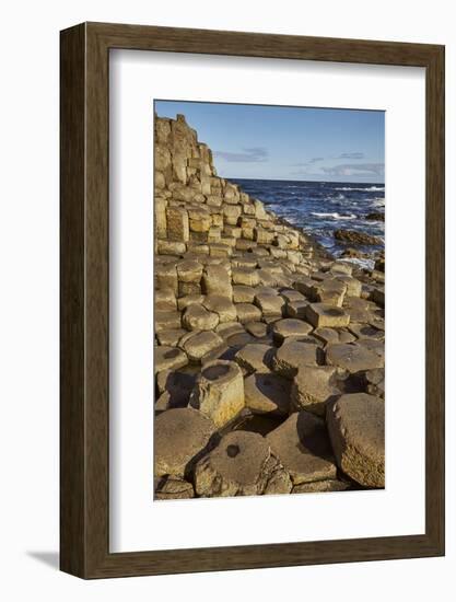 Giant's Causeway, UNESCO World Heritage Site, County Antrim, Ulster, Northern Ireland, United Kingd-Nigel Hicks-Framed Photographic Print