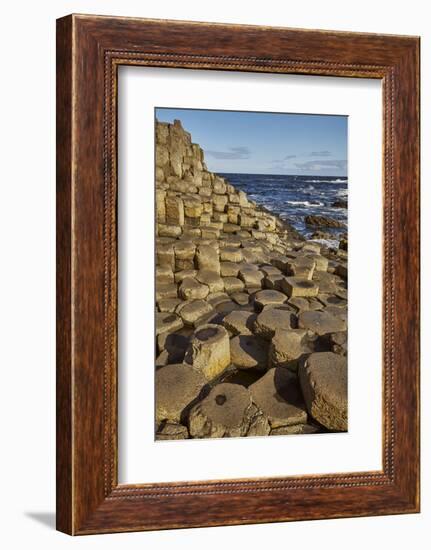 Giant's Causeway, UNESCO World Heritage Site, County Antrim, Ulster, Northern Ireland, United Kingd-Nigel Hicks-Framed Photographic Print