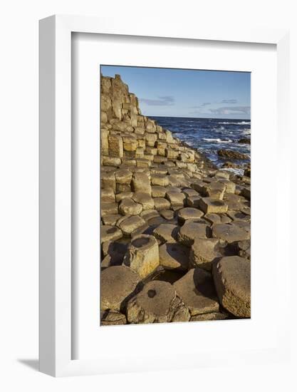 Giant's Causeway, UNESCO World Heritage Site, County Antrim, Ulster, Northern Ireland, United Kingd-Nigel Hicks-Framed Photographic Print