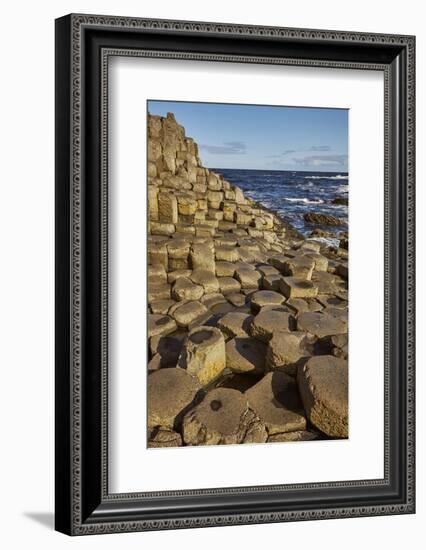 Giant's Causeway, UNESCO World Heritage Site, County Antrim, Ulster, Northern Ireland, United Kingd-Nigel Hicks-Framed Photographic Print