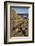 Giant's Causeway, UNESCO World Heritage Site, County Antrim, Ulster, Northern Ireland, United Kingd-Nigel Hicks-Framed Photographic Print