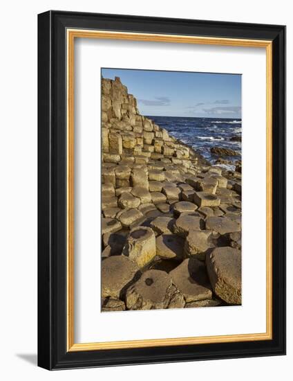 Giant's Causeway, UNESCO World Heritage Site, County Antrim, Ulster, Northern Ireland, United Kingd-Nigel Hicks-Framed Photographic Print