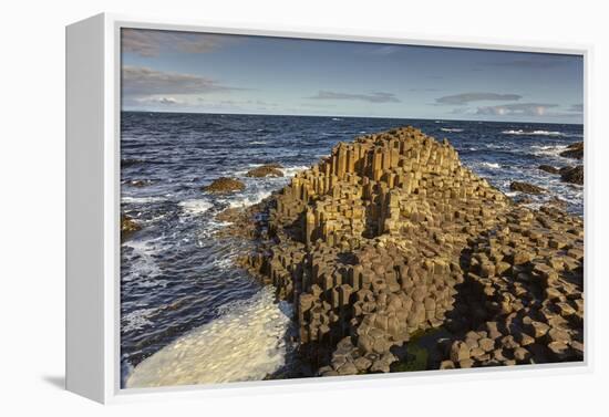 Giant's Causeway, UNESCO World Heritage Site, County Antrim, Ulster, Northern Ireland, United Kingd-Nigel Hicks-Framed Premier Image Canvas