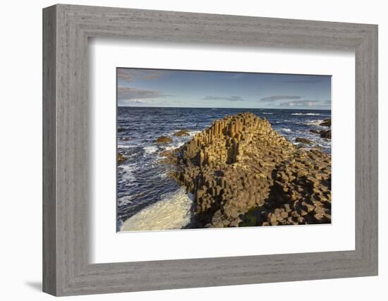 Giant's Causeway, UNESCO World Heritage Site, County Antrim, Ulster, Northern Ireland, United Kingd-Nigel Hicks-Framed Photographic Print