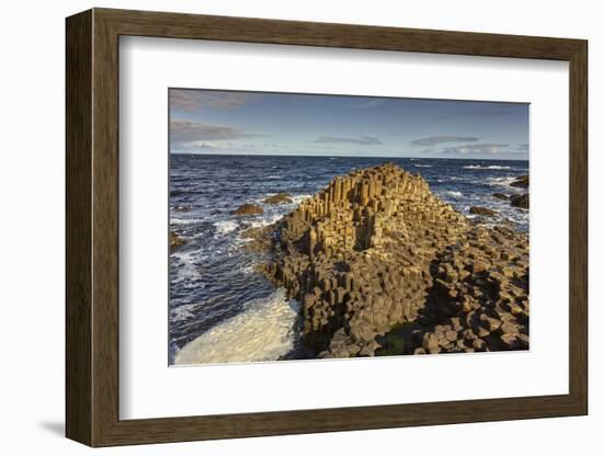 Giant's Causeway, UNESCO World Heritage Site, County Antrim, Ulster, Northern Ireland, United Kingd-Nigel Hicks-Framed Photographic Print