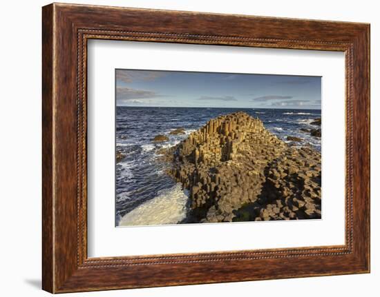 Giant's Causeway, UNESCO World Heritage Site, County Antrim, Ulster, Northern Ireland, United Kingd-Nigel Hicks-Framed Photographic Print