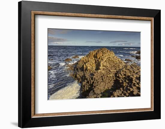 Giant's Causeway, UNESCO World Heritage Site, County Antrim, Ulster, Northern Ireland, United Kingd-Nigel Hicks-Framed Photographic Print