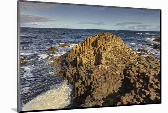 Giant's Causeway, UNESCO World Heritage Site, County Antrim, Ulster, Northern Ireland, United Kingd-Nigel Hicks-Mounted Photographic Print