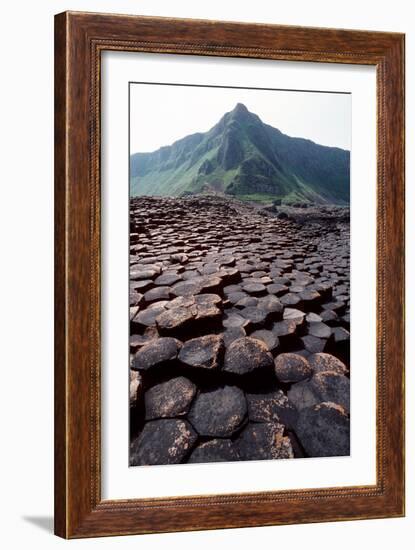 Giant's Causeway-Georgette Douwma-Framed Photographic Print