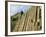 Giant's Causeway-Kevin Schafer-Framed Photographic Print