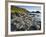 Giant's Causeway-Kevin Schafer-Framed Photographic Print