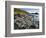 Giant's Causeway-Kevin Schafer-Framed Photographic Print