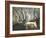 Giant Sable Antelopes, Probably on the Luanda Preserve-Carlo Bavagnoli-Framed Photographic Print