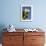 Giant Saguaro Buds and Flower-null-Framed Photographic Print displayed on a wall