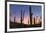 Giant saguaro cactus (Carnegiea gigantea) at dawn in the Sweetwater Preserve, Tucson, Arizona, Unit-Michael Nolan-Framed Photographic Print