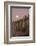 Giant Saguaro Cactus (Carnegiea Gigantea), Tucson, Arizona-Michael Nolan-Framed Photographic Print