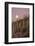 Giant Saguaro Cactus (Carnegiea Gigantea), Tucson, Arizona-Michael Nolan-Framed Photographic Print