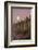 Giant Saguaro Cactus (Carnegiea Gigantea), Tucson, Arizona-Michael Nolan-Framed Photographic Print