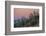 Giant Saguaro Cactus (Carnegiea Gigantea), Tucson, Arizona-Michael Nolan-Framed Photographic Print