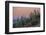 Giant Saguaro Cactus (Carnegiea Gigantea), Tucson, Arizona-Michael Nolan-Framed Photographic Print