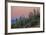 Giant Saguaro Cactus (Carnegiea Gigantea), Tucson, Arizona-Michael Nolan-Framed Photographic Print