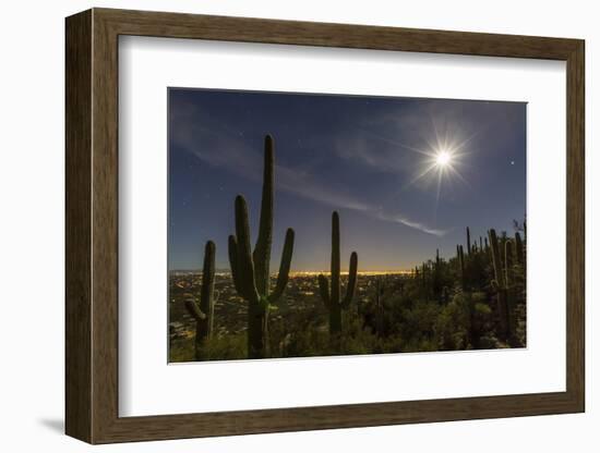 Giant Saguaro Cactus (Carnegiea Gigantea), Tucson, Arizona-Michael Nolan-Framed Photographic Print