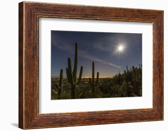 Giant Saguaro Cactus (Carnegiea Gigantea), Tucson, Arizona-Michael Nolan-Framed Photographic Print