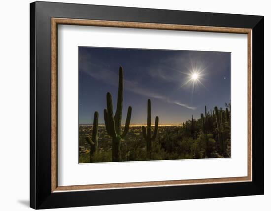 Giant Saguaro Cactus (Carnegiea Gigantea), Tucson, Arizona-Michael Nolan-Framed Photographic Print