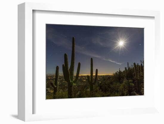 Giant Saguaro Cactus (Carnegiea Gigantea), Tucson, Arizona-Michael Nolan-Framed Photographic Print