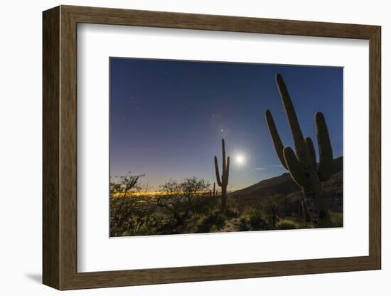 Giant Saguaro Cactus (Carnegiea Gigantea), Tucson, Arizona-Michael Nolan-Framed Photographic Print