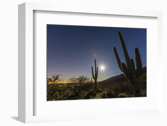 Giant Saguaro Cactus (Carnegiea Gigantea), Tucson, Arizona-Michael Nolan-Framed Photographic Print