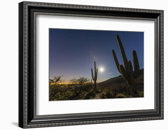 Giant Saguaro Cactus (Carnegiea Gigantea), Tucson, Arizona-Michael Nolan-Framed Photographic Print