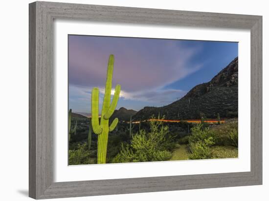 Giant saguaro cactus under full moon at Gates Pass in the Tucson Mountains, Tucson, Arizona, USA-Michael Nolan-Framed Photographic Print