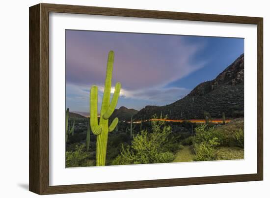 Giant saguaro cactus under full moon at Gates Pass in the Tucson Mountains, Tucson, Arizona, USA-Michael Nolan-Framed Photographic Print