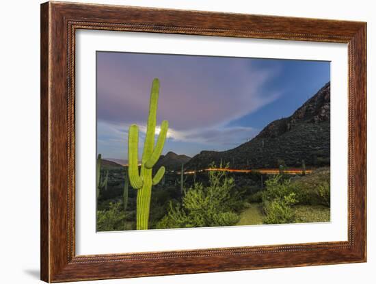 Giant saguaro cactus under full moon at Gates Pass in the Tucson Mountains, Tucson, Arizona, USA-Michael Nolan-Framed Photographic Print