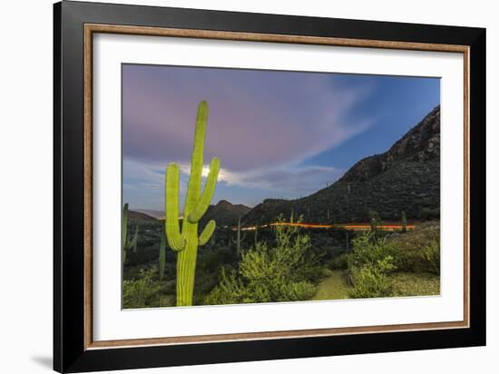 Giant saguaro cactus under full moon at Gates Pass in the Tucson Mountains, Tucson, Arizona, USA-Michael Nolan-Framed Photographic Print