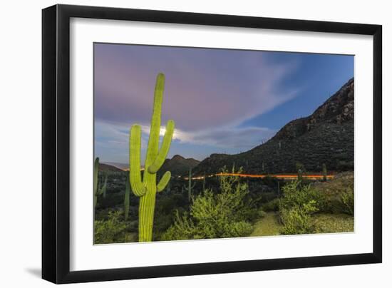 Giant saguaro cactus under full moon at Gates Pass in the Tucson Mountains, Tucson, Arizona, USA-Michael Nolan-Framed Photographic Print