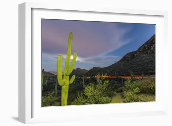 Giant saguaro cactus under full moon at Gates Pass in the Tucson Mountains, Tucson, Arizona, USA-Michael Nolan-Framed Photographic Print