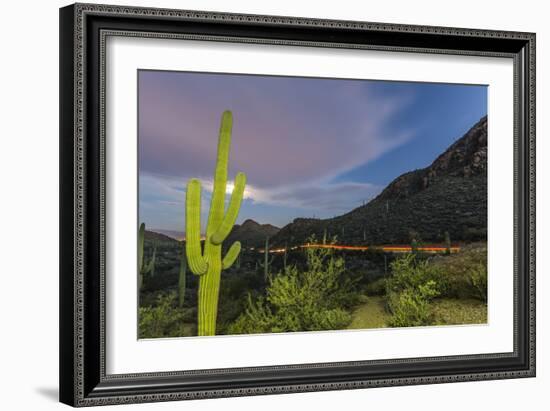 Giant saguaro cactus under full moon at Gates Pass in the Tucson Mountains, Tucson, Arizona, USA-Michael Nolan-Framed Photographic Print