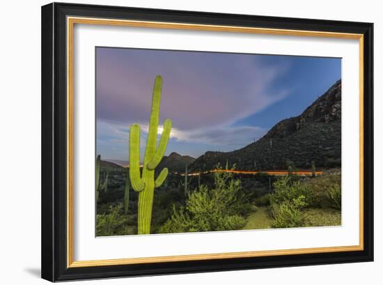 Giant saguaro cactus under full moon at Gates Pass in the Tucson Mountains, Tucson, Arizona, USA-Michael Nolan-Framed Photographic Print