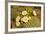 Giant Saguaro with Buds and Flowers-null-Framed Photographic Print