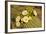 Giant Saguaro with Buds and Flowers-null-Framed Photographic Print