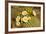 Giant Saguaro with Buds and Flowers-null-Framed Photographic Print