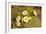 Giant Saguaro with Buds and Flowers-null-Framed Photographic Print