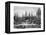 Giant Sequoia Forest, California, 19th Century-Paul Huet-Framed Premier Image Canvas