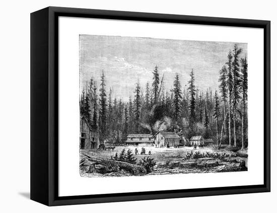 Giant Sequoia Forest, California, 19th Century-Paul Huet-Framed Premier Image Canvas