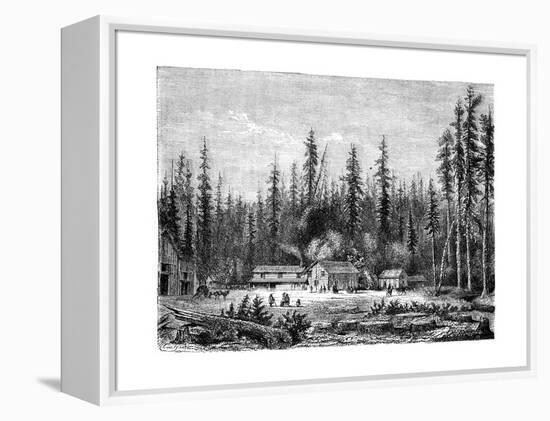 Giant Sequoia Forest, California, 19th Century-Paul Huet-Framed Premier Image Canvas