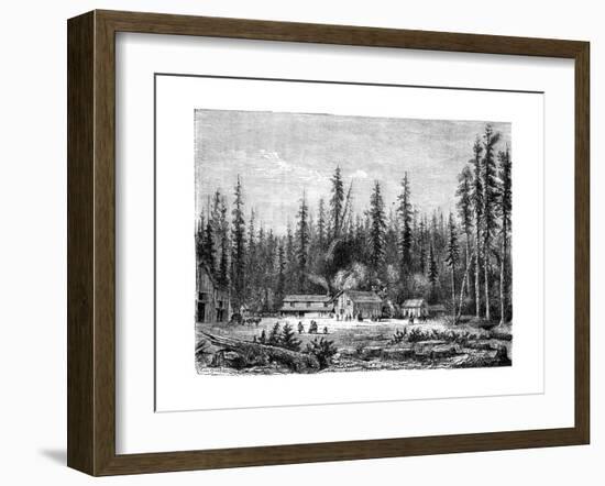 Giant Sequoia Forest, California, 19th Century-Paul Huet-Framed Giclee Print