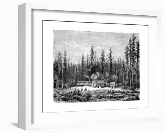 Giant Sequoia Forest, California, 19th Century-Paul Huet-Framed Giclee Print