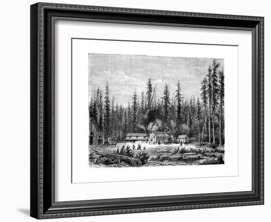 Giant Sequoia Forest, California, 19th Century-Paul Huet-Framed Giclee Print